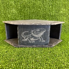 Bearded Dragon Laser Engraved