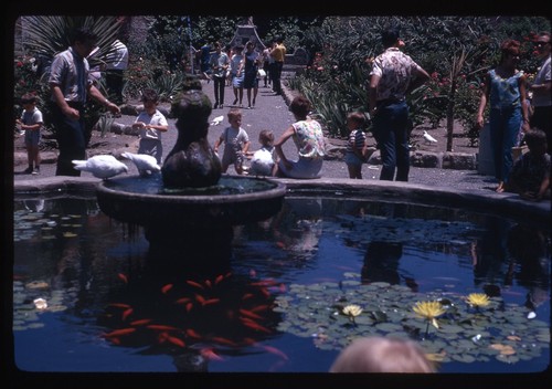 Sl45 slide 1960 calif - slide, 1960's