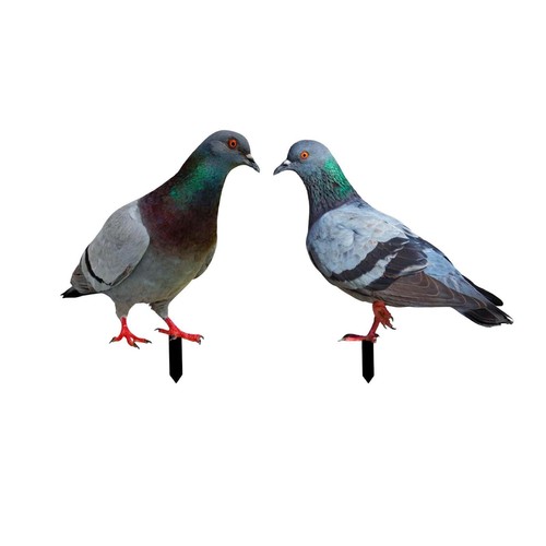 Pigeon garden stake animal - garden,