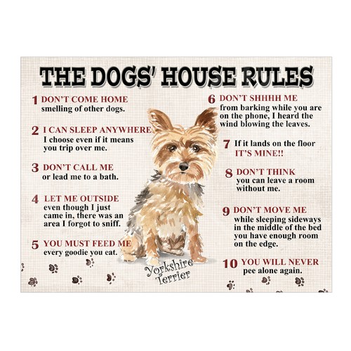 The dogs house - house, yorkshire