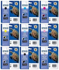 Genuine Epson Turtle Original