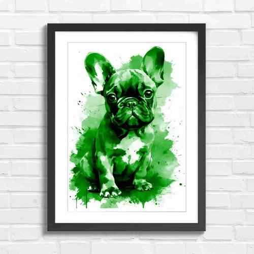 Cute french bulldog puppy - bulldog,