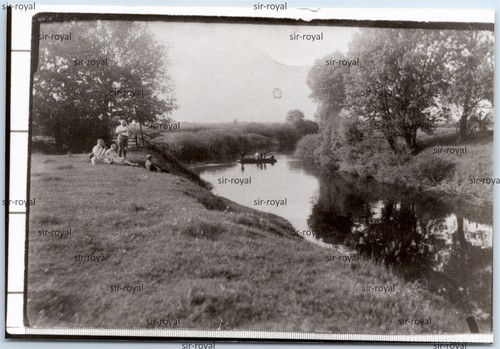 Repro gimbte near greven - -,