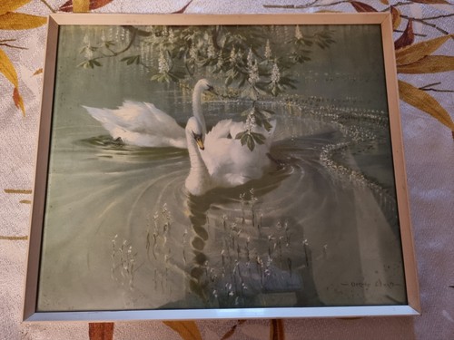 Harmony spring framed - of, print