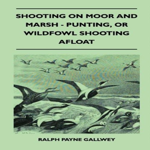 Shooting moor and marsh - shooting,