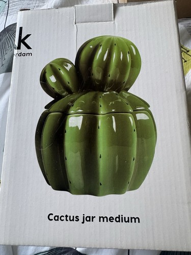 Cactus jar medium rare - cactus,