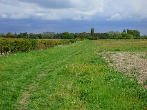 Photo 6x4 farmland berrick - photo,