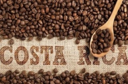 Costa rica divine coffee beans - rica,