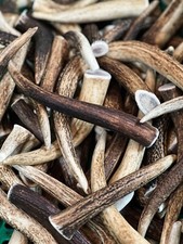 Red Deer Antler Dog Chew