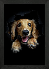 Saluki framed wall art poster - framed,