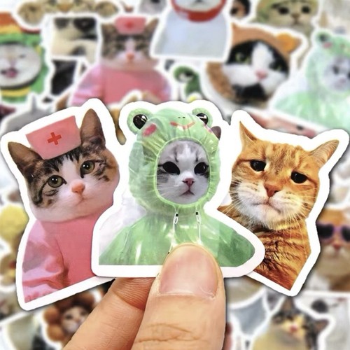 100pcs cute cat stickers funny - cute,