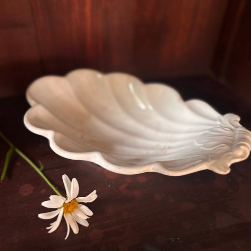 Antique ironstone anthony shaw - antique,