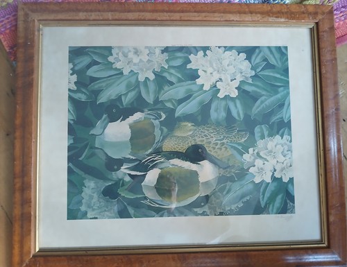 Charles tunnicliffe mallard - charles,