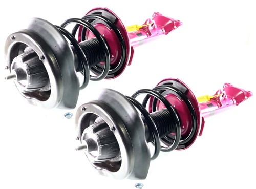 Complete struts assembly - 2x,