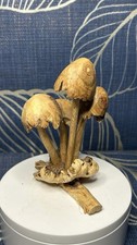 Hand Carved Wooden Mushroom