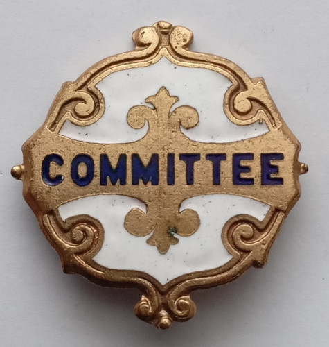 Vintage masonic committee pin - masonic,