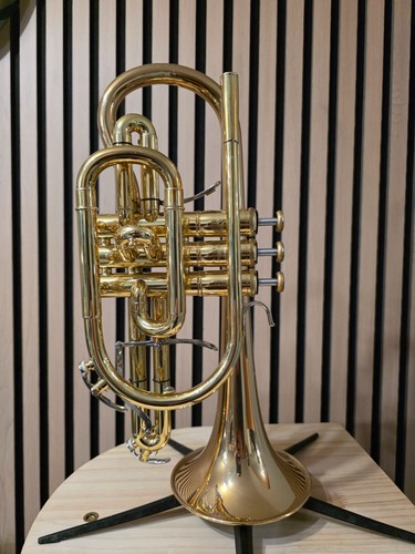 Yamaha xeno 8335g cornet - xeno,