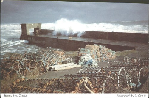 Craster stormy sea lobster - sea,