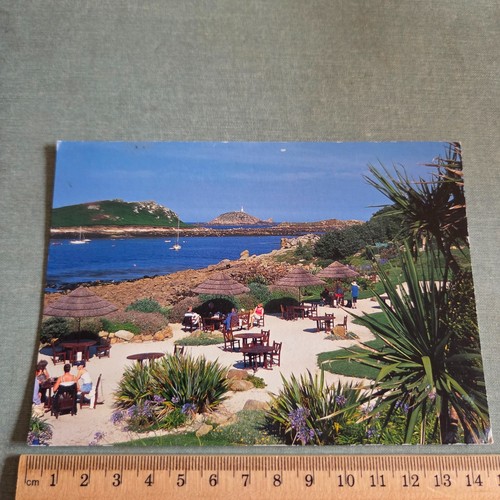 Vintage postcard martin - postcard, st.