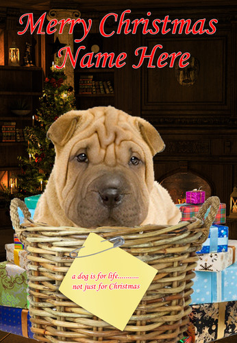 C4a64 shar pei dog - c4a64, puppy