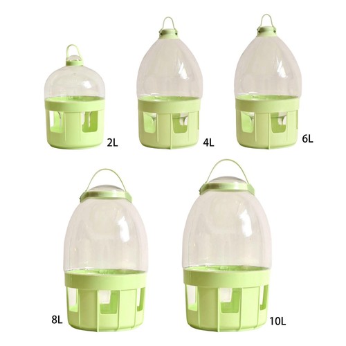 Pigeon water dispenser - pigeon,