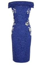 BNWT COAST JUSTINA LACE DRESS