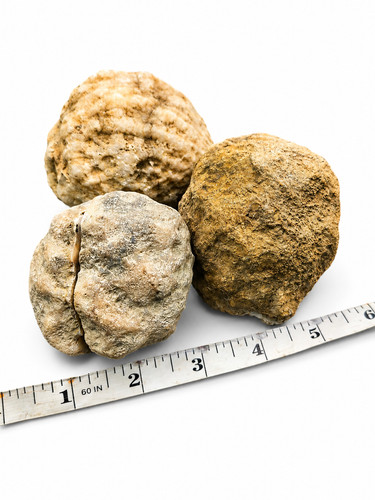 Large kentucky geodes - 3, –