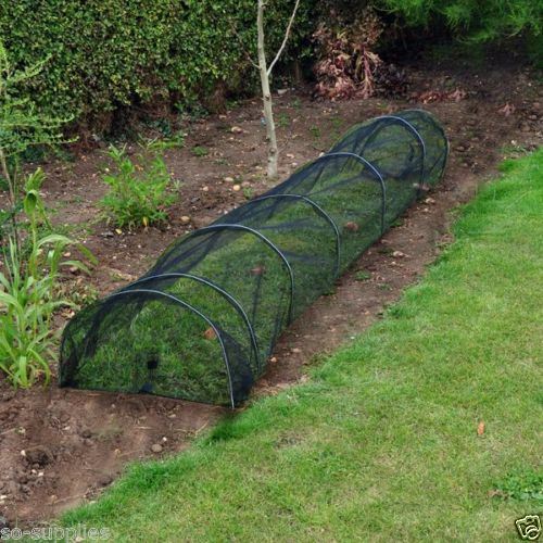New allotment plant - allotment,