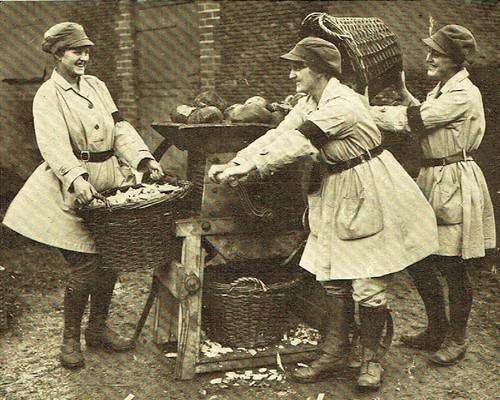 Women national land - women's, service