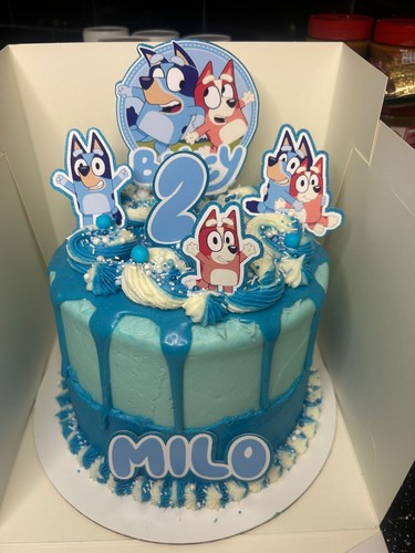Bluey and bingo cake - bingo,