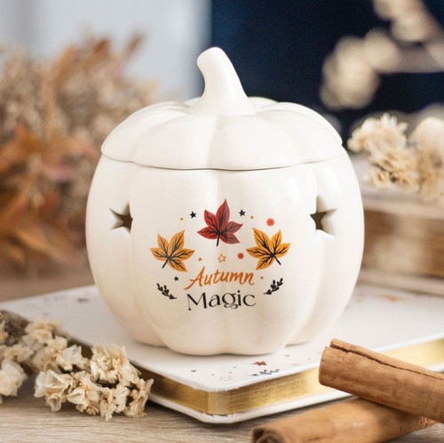 Autumn magic pumpkin - pumpkin, leaves