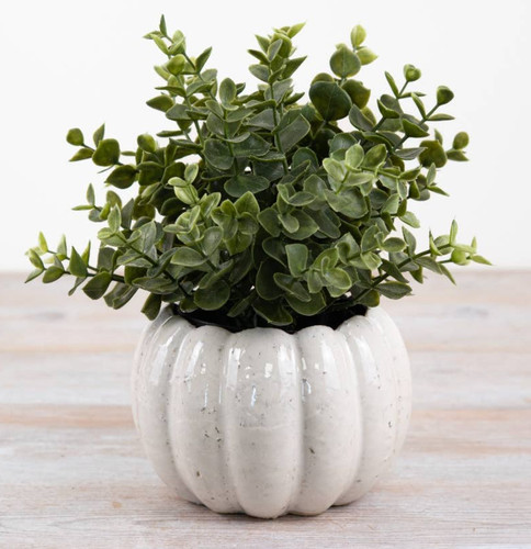 Chunky white ceramic planter