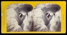 Adolphe Braun, Grotte au