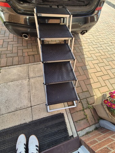 Dog step ladders - dog,