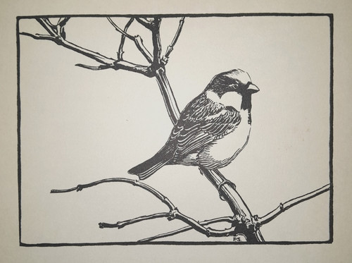 Sparrow peter scott bird print - peter,