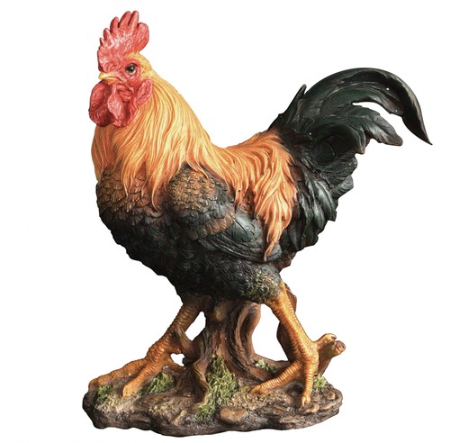 Cockerel chicken lifelike - cockerel,