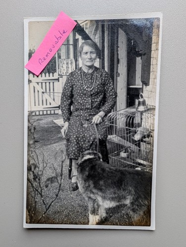 Old photo woman dog animal - woman,