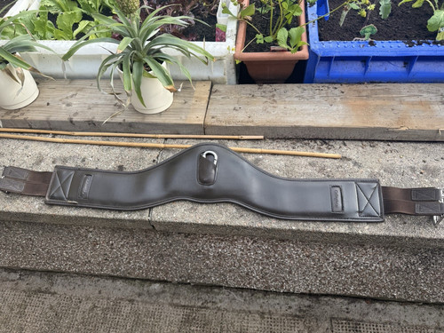 Collegiate anatomic girth - collegiate,