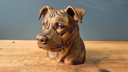 Pitbull terrier bust - terrier,