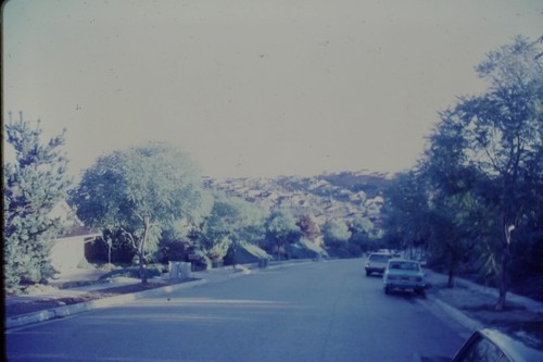 Vintage 35mm photo slide - vintage,