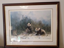 The Panda's Of Wolong By David