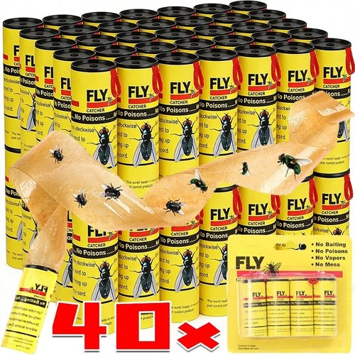 40x fly sticky paper traps - fly,
