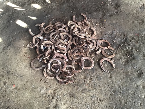 Used real horseshoe - horseshoe, x