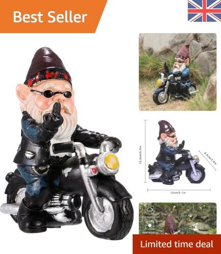 Garden gnome ornaments - garden, funny