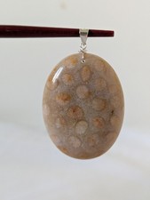 Agatized Coral Fossil Pendant 925 Sterling Silver