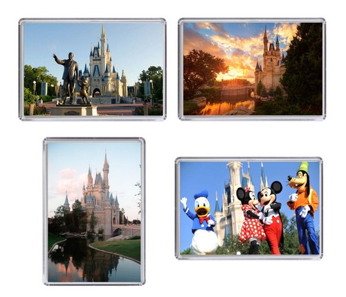 Disney world florida fridge - florida,