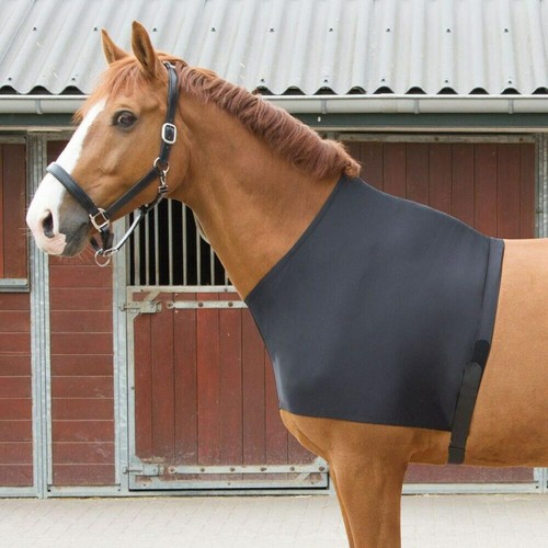 Horse shoulder pads - horse,
