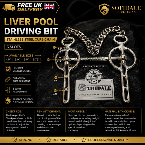 Liver pool driving - liver,