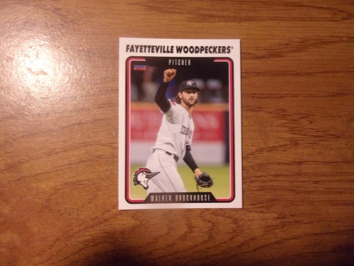 2023 fayetteville woodpeckers - fayetteville,