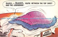 R242752 Basil Basil youre